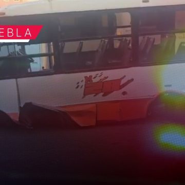 Ruta M28 choca contra árboles en Camino a Morillotla; conductor huye y deja unidad atravesada