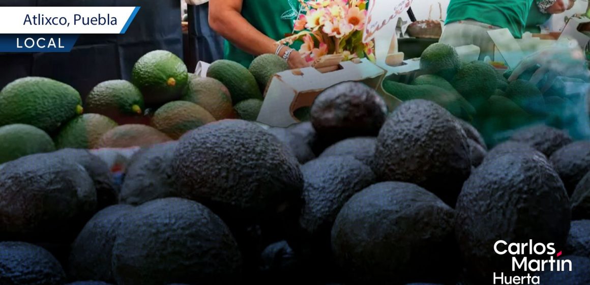 San Pedro Benito Juárez invita a la Feria del Aguacate 2025 San Pedro Benito Juárez invita a la Feria del Aguacate 2025