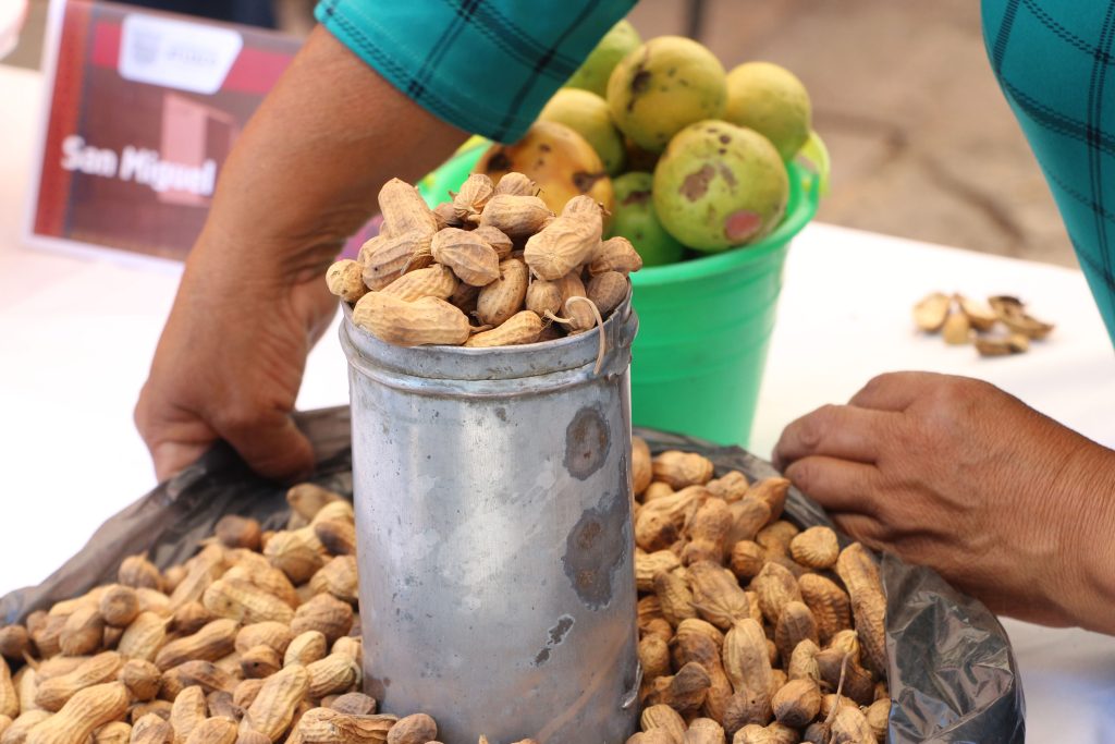 Tlapanalá se prepara para su Feria del Cacahuate 2025 2 Tlapanala se prepara para su Feria del Cacahuate 2025 3
