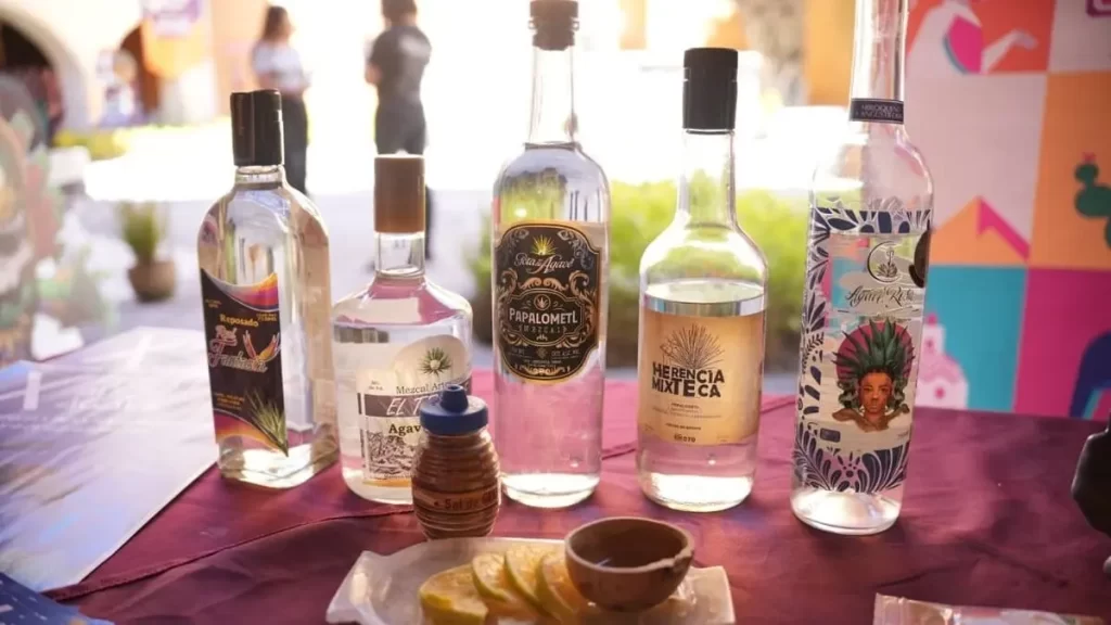Tochimiltzingo anuncia la Feria del Mezcal y el Agave 2025 2 Tochimiltzingo anuncia la Feria del Mezcal y el Agave 2025 3