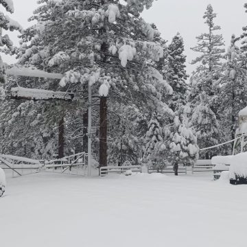Tormenta invernal causa cierre de parque nacional en Baja California