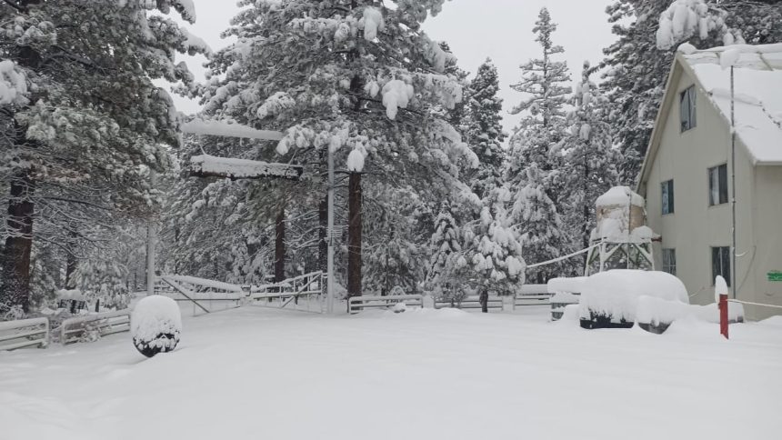 Tormenta invernal causa cierre de parque nacional en Baja California