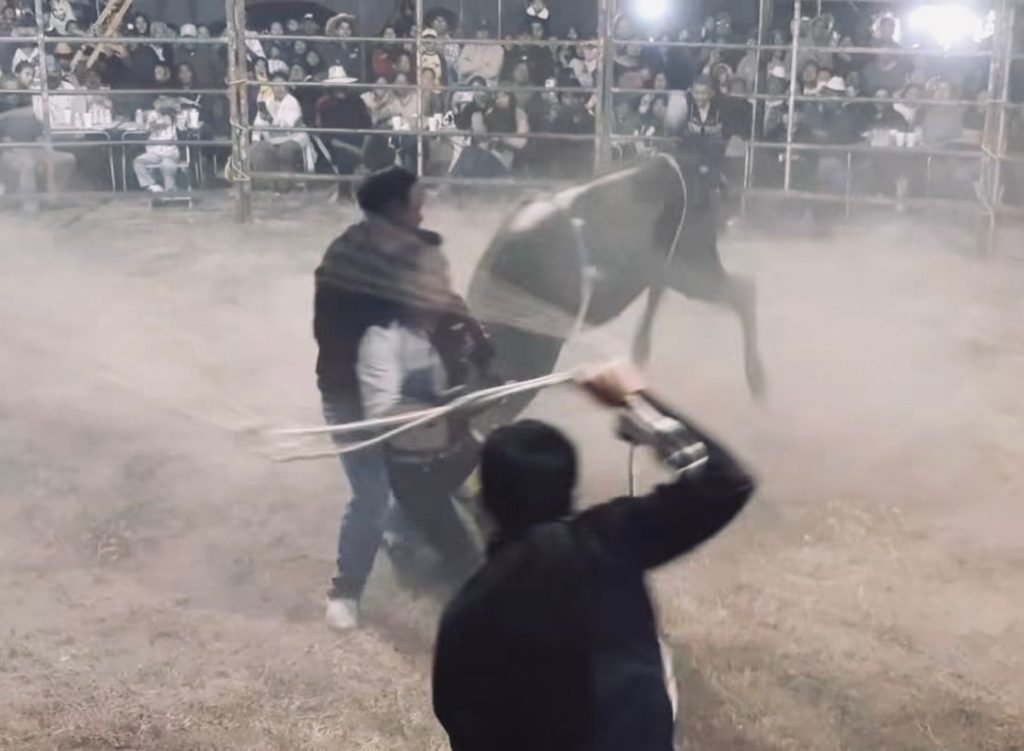 Toro embiste padre e hijo durante jaripeo en Atlixco