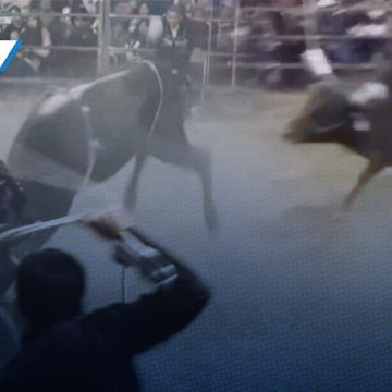 Toro embiste padre e hijo durante jaripeo en Atlixco Toro embiste a padre e hijo durante jaripeo en Atlixco