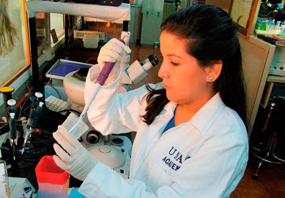 Científicos de la UNAM desarrollan antiveneno contra las serpientes más letales de África