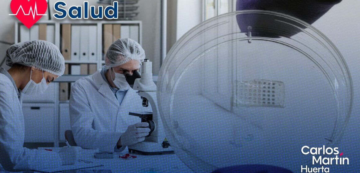 ¡Avance médico! Crean parche flexible para regenerar el corazón tras un infarto