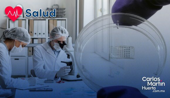 ¡Avance médico! Crean parche flexible para regenerar el corazón tras un infarto