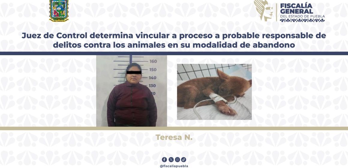 Vinculan a Teresa N. por bandonar a cachorra con parvovirus en veterinaria de Puebla