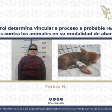 Vinculan a Teresa N. por bandonar a cachorra con parvovirus en veterinaria de Puebla
