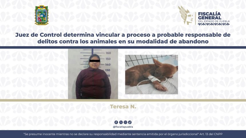 Vinculan a Teresa N. por bandonar a cachorra con parvovirus en veterinaria de Puebla
