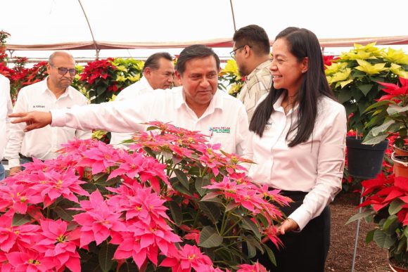 Invitan a la Feria de la Nochebuena 2025 en Atlixco