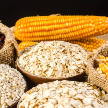 Crisis del campo provoca alzas en maíz, tortilla, café y azúcar: ANPEC