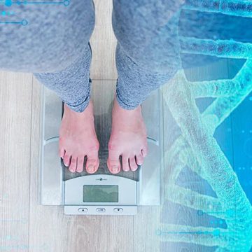 Avance científico: Identifican 13 genes clave de la obesidad
