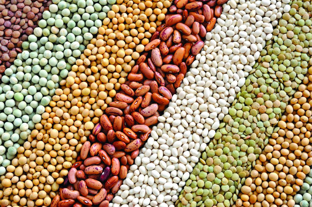 Crisis del campo provoca alzas en maíz, tortilla, café y azúcar: ANPEC 1 productos de campo