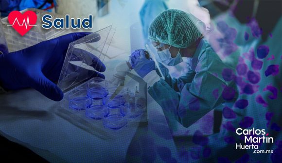 ¡Avance histórico! Identifican la célula que origina el Sarcoma de Erwing ¡Avance histórico! Identifican la célula que origina el Sarcoma de Ewing