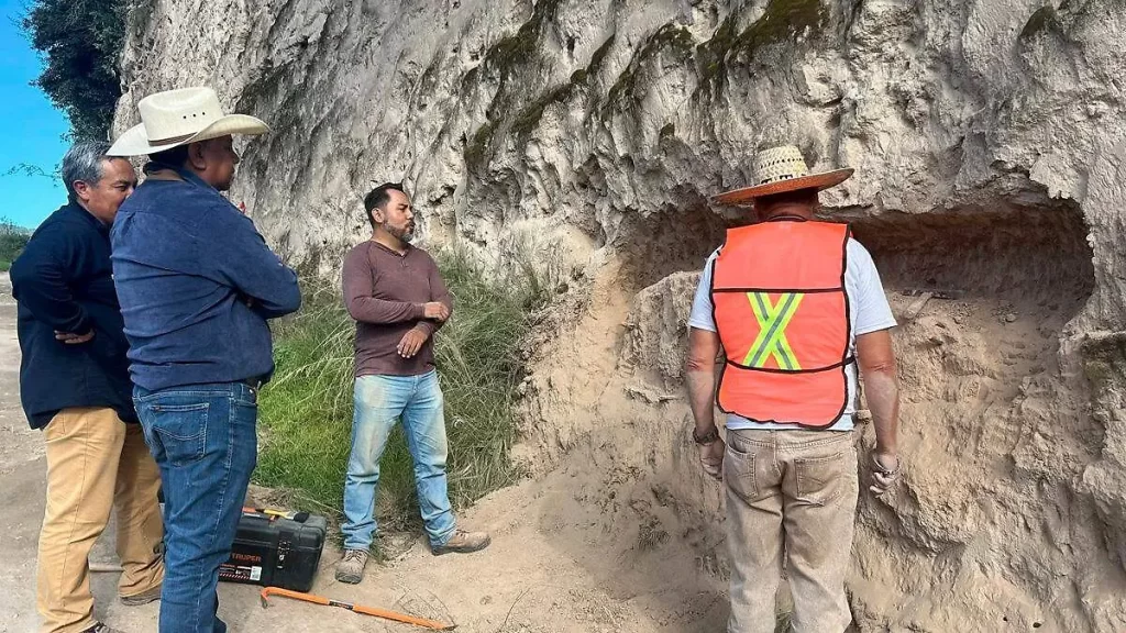 ¡Histórico! Descubren fósil de Gliptodonte en Acatzingo