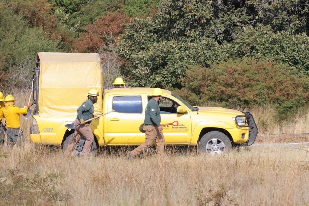 En Puebla, la meta de cero incendios continuará para salvar vidas y a los bosques 1 AA 1212 2 9