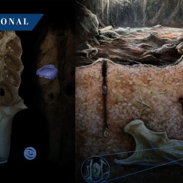 Abejas del Pleistoceno Descubren panales fosilizados dentro de huesos en El Caribe Abejas del Pleistoceno: Descubren panales fosilizados dentro de huesos en El Caribe