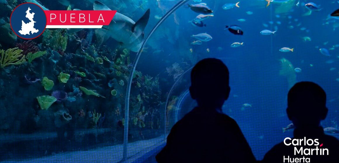 Acuario Michin lanza promoción por temporada navideña; boletos a 99 pesos