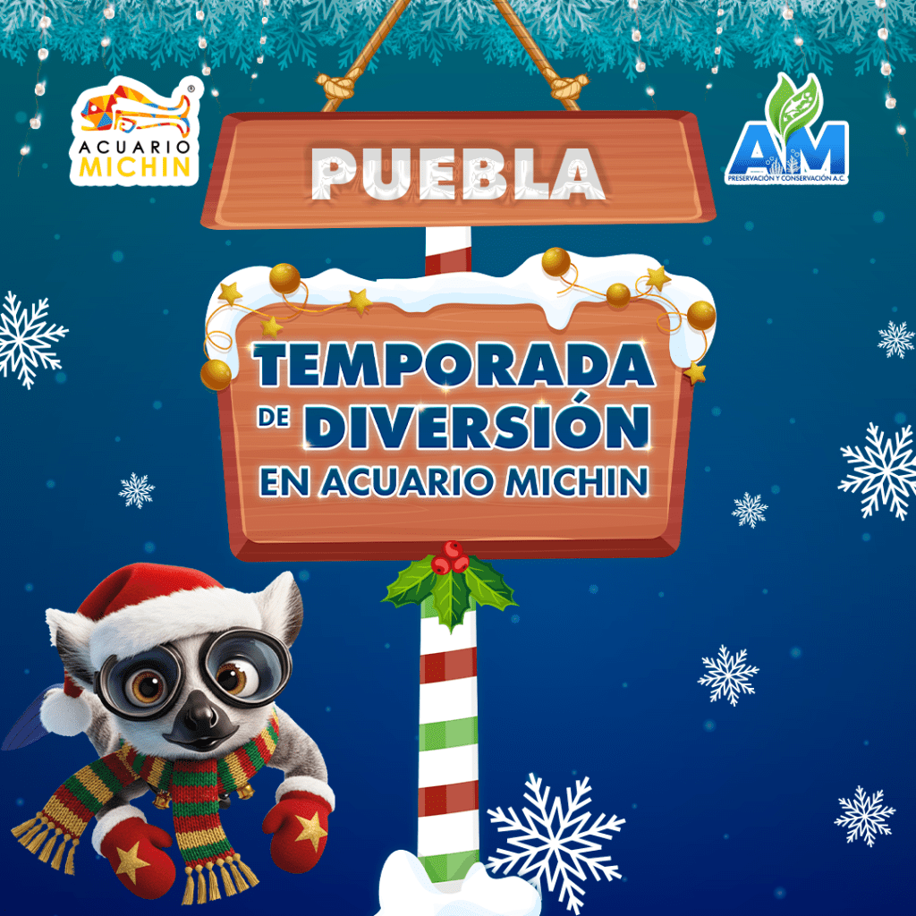 Acuario Michin lanza promoción por temporada navideña; boletos a 99 pesos