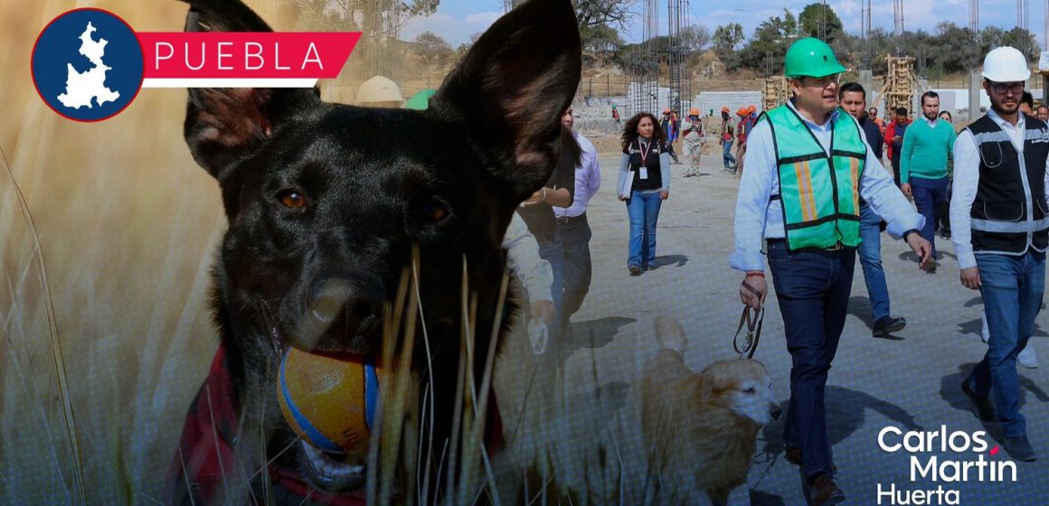 Avanza construcción de Centro de Bienestar Animal; dignificará atención de seres sintientes