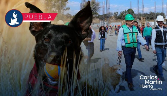 Avanza construcción de Centro de Bienestar Animal; dignificará atención de seres sintientes