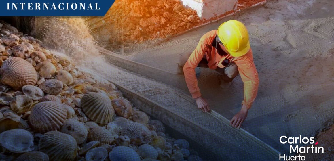 Conchas marinas: La innovadora solución para sustituir el cemento y reducir el impacto ambiental
