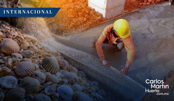 Conchas marinas: La innovadora solución para sustituir el cemento y reducir el impacto ambiental
