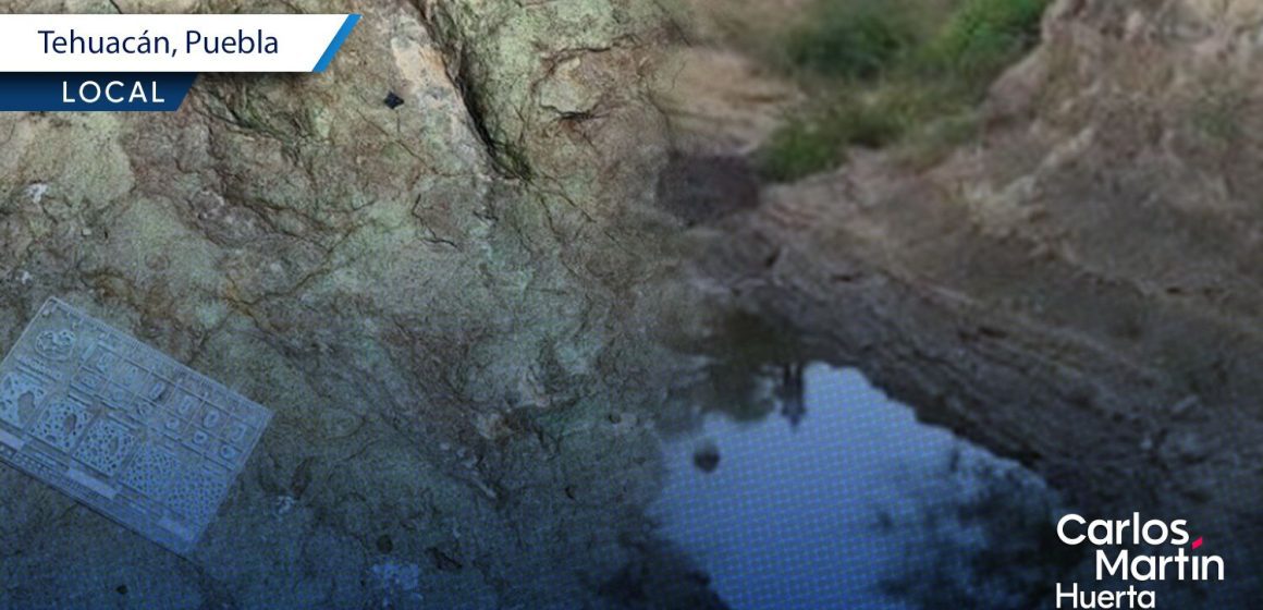 Confirman hallazgo de huellas de dinosaurios en Puebla