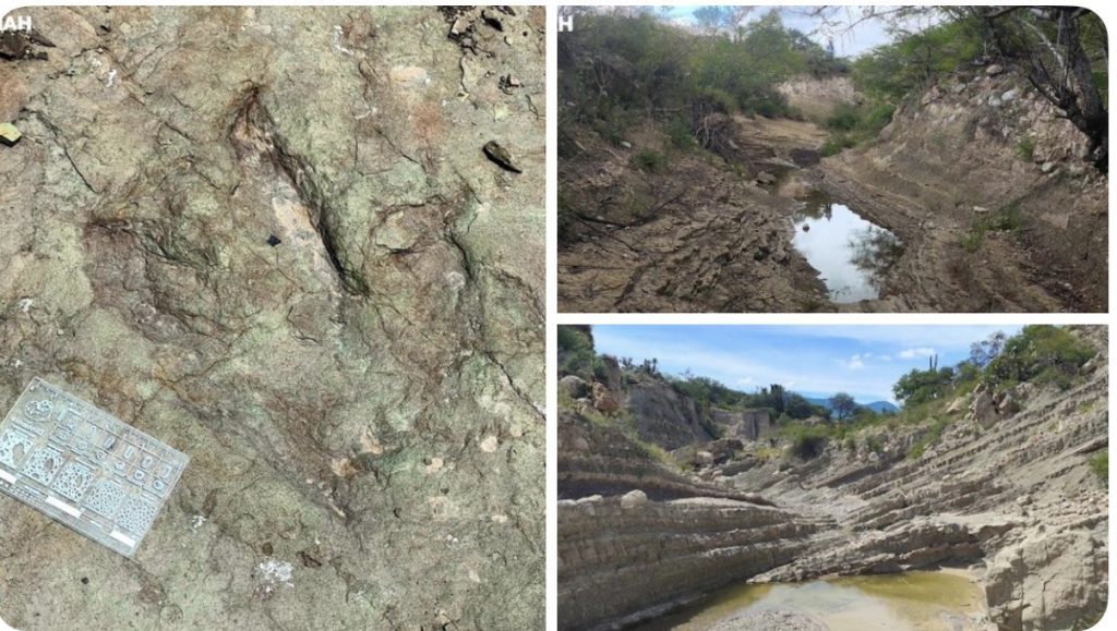 Confirman hallazgo de huellas de dinosaurios en Puebla