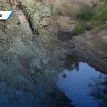 Confirman hallazgo de huellas de dinosaurios en Puebla