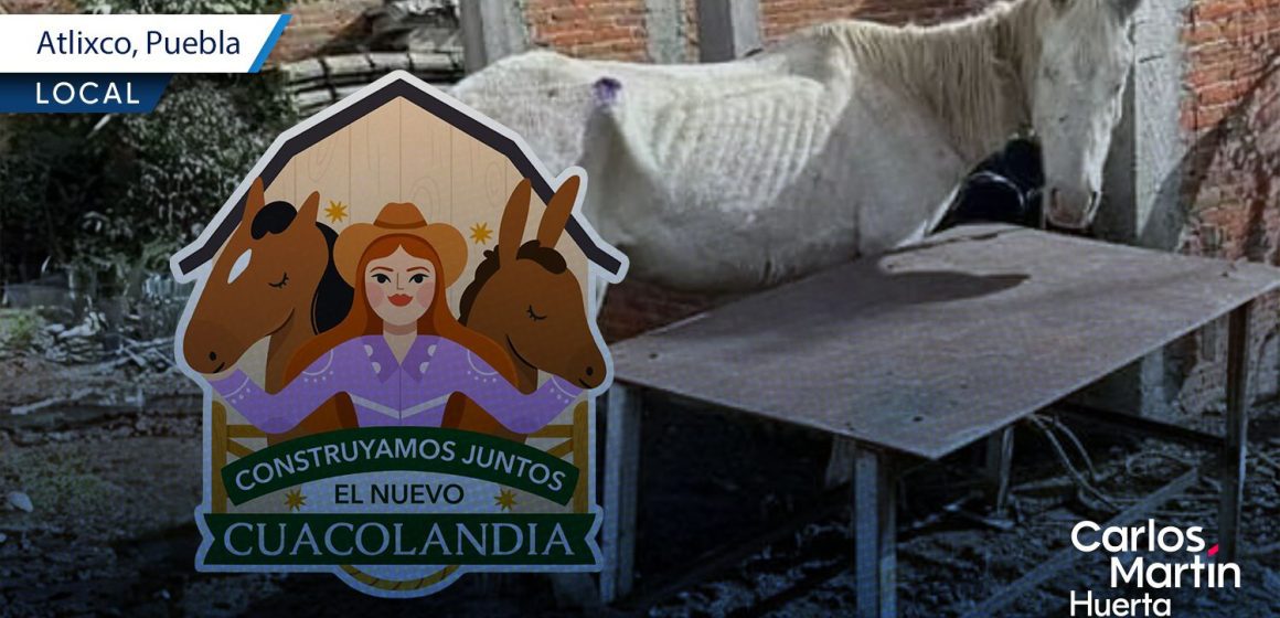 Cuacolandia denuncia caso de maltrato animal en Atlixco; pide intervención de las autoridades