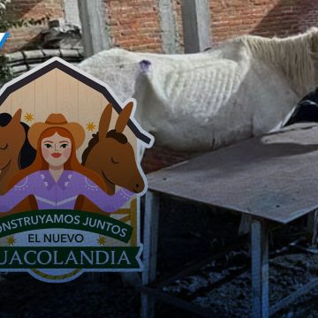 Portada Cuacolandia denuncia caso de maltrato animal en Atlixco; pide intervención de las autoridades CMH Cuacolandia denuncia caso de maltrato animal en Atlixco; pide intervención de las autoridades