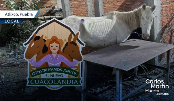 Cuacolandia denuncia caso de maltrato animal en Atlixco; pide intervención de las autoridades