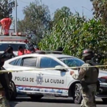 Hallan cadáver al fondo de una barranca en San Sebastián Aparicio