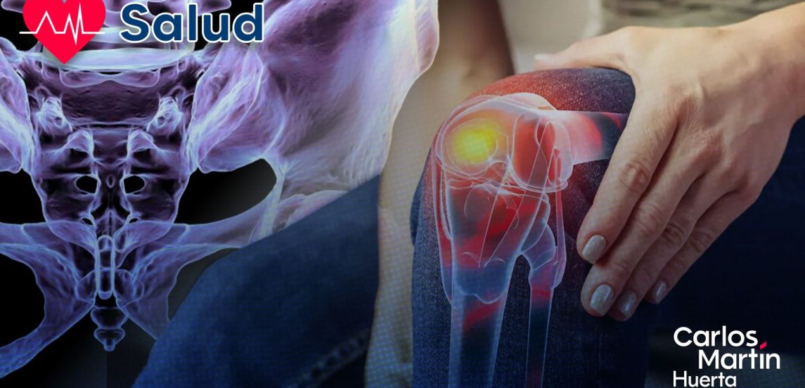 Descubren cómo regenerar el cartílago dañado por la artrosis Descubren cómo regenerar el cartílago dañado por la artrosis