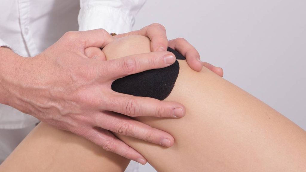 Descubren cómo regenerar el cartílago dañado por la artrosis 1 Descubren cómo regenerar el cartílago dañado por la artrosis