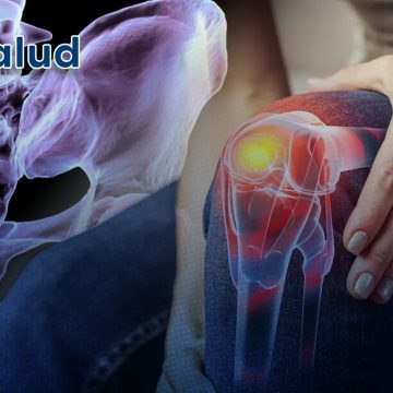 Descubren cómo regenerar el cartílago dañado por la artrosis Descubren cómo regenerar el cartílago dañado por la artrosis