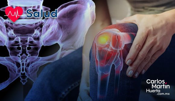 Descubren cómo regenerar el cartílago dañado por la artrosis