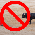 Aplican normativas de bienestar animal y suspenden corrida de toros en Puebla