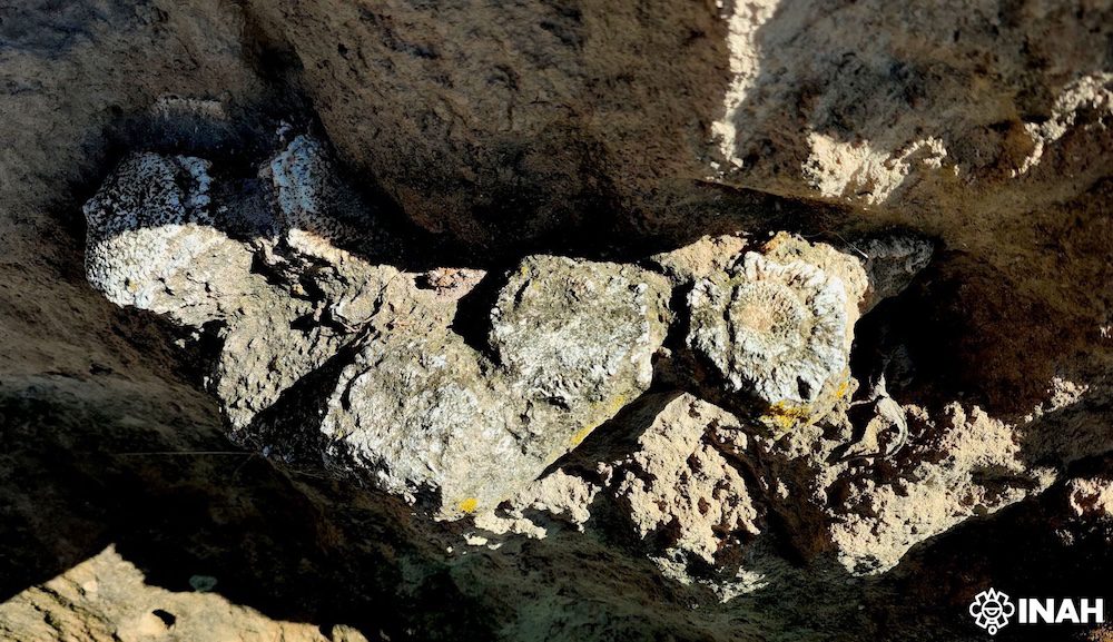 El INAH resguarda fósiles de megafauna encontrados en Acatzingo 2 El INAH resguarda fosiles de megafauna encontrados en Acatzingo 3