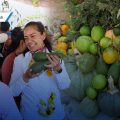 Atlixco realiza con éxito la 3ra Feria del Aguacate en San Pedro Benito Juárez