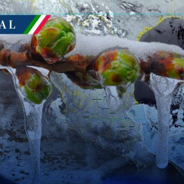 Frente frío 17 se extiende provocando lluvias y heladas