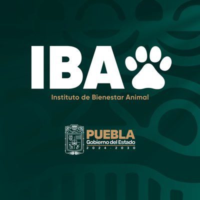 IBA suspende “puerquito encebado” en Zacapoaxtla en defensa de los seres sintientes 2 IBA suspende puerquito encebado en Zacapoaxtla en defensa de los seres sintientes 3
