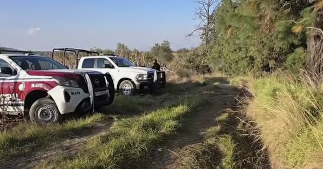 Screenshot Hallan 7 cuerpos con huellas de violencia en barranca de Nopalucan, Puebla: límites con Tlaxcala