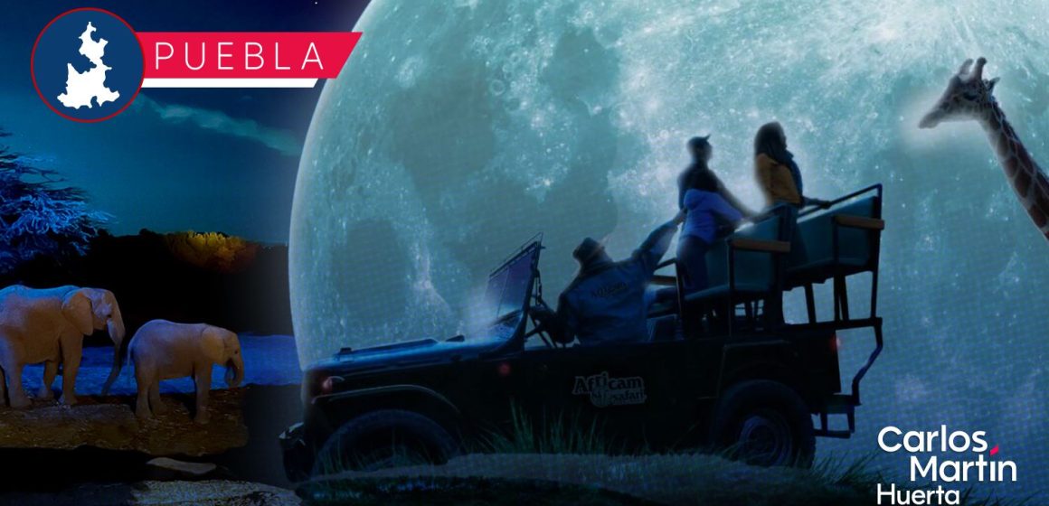 Moon Safari: Conoce la nueva experiencia nocturna de Africam Safari