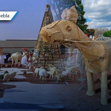 Nacimiento monumental de Huaquechula se expandirá a tres municipios Nacimiento monumental de Huaquechula se expandirá a tres municipios