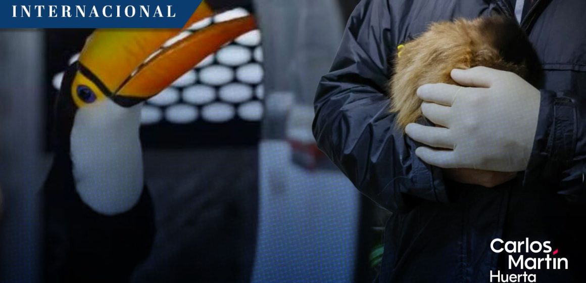 Operación Trueno rescata a 30 mil animales del tráfico ilegal