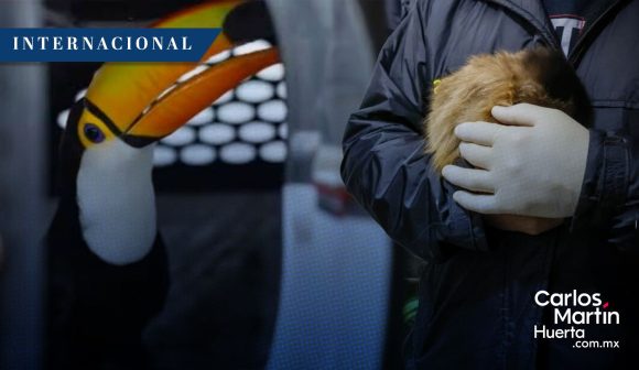 Operación Trueno rescata a 30 mil animales del tráfico ilegal