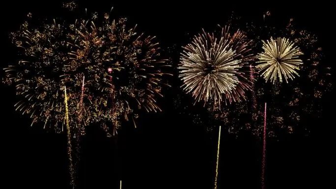 Puebla Capital refuerza medidas contra el uso de pirotecnia en vispera de Ano Nuevo 3